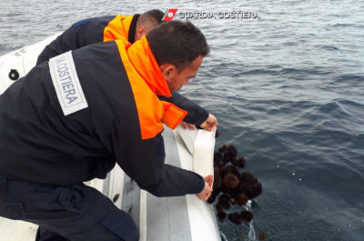 Pesca, controlli a tappeto della Guardia Costiera: sanzioni e sequestri - Corriere Salentino