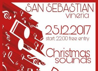 San Sebastian vineria: Dadaunpa