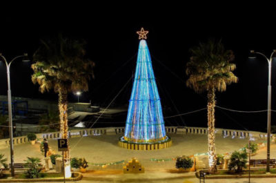 A Castro l'Eco-Albero più alto di Puglia - Corriere Salentino