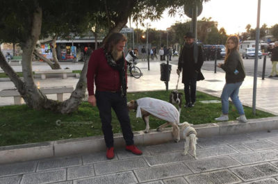 No Tap, in centinaia marciano su Lecce: in quattro bloccati in questura, venivano da Roma - Corriere Salentino