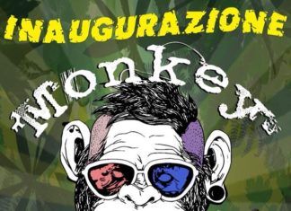 Monkey: Inaugurazione
