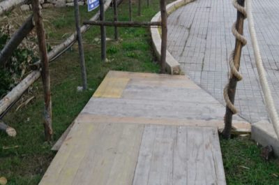 Presepe, Andrea Guido: "Disabilità, scuse da basso governo" - Corriere Salentino
