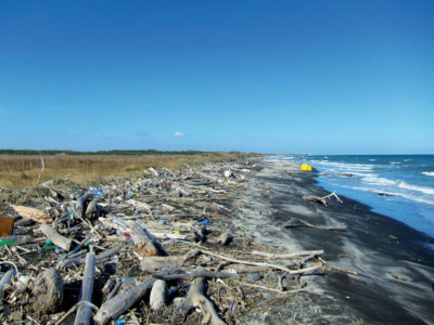 “Libera il mare”: concluso lo studio di TAP e CONISMA sui rifiuti marini - Corriere Salentino