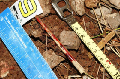 Pestarono operaio e lo lasciarono nudo in campagna: tre fermi anche per tortura - Corriere Salentino