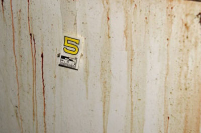 Pestarono operaio e lo lasciarono nudo in campagna: tre fermi anche per tortura - Corriere Salentino