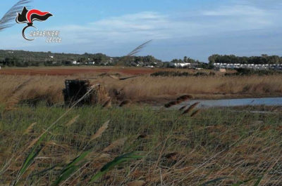 "Caccia proibita" ai piedi del Parco regionale, denunciati tre bracconieri - Corriere Salentino