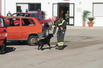 A Tricase celebrazioni in onore di Santa Barbara, protettrice dei Vigili del Fuoco - Corriere Salentino