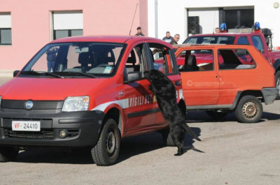 A Tricase celebrazioni in onore di Santa Barbara, protettrice dei Vigili del Fuoco - Corriere Salentino