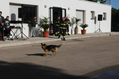 A Tricase celebrazioni in onore di Santa Barbara, protettrice dei Vigili del Fuoco - Corriere Salentino