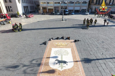 Lecce: celebrata Santa Barbara, protettrice dei Vigili del Fuoco - Corriere Salentino
