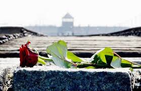 27 gennaio e 10 febbraio, monito per non dimenticare e non strumentalizzare la sofferenza - Corriere Salentino