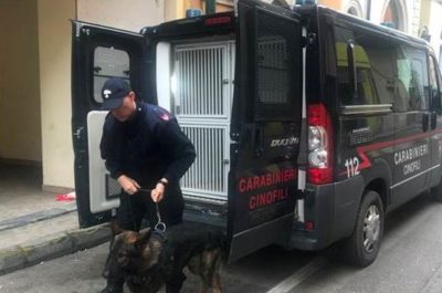 Marijuana sotto al letto, blitz antidroga nel centro di prima accoglienza: denunciato un 22enne - Corriere Salentino