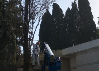 Cimitero neretino più sicuro, via i cipressi secchi e pericolanti
