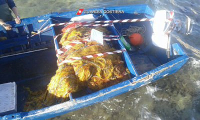 Si scaglia contro la Guardia Costiera durante il controllo, arrestato pescatore - Corriere Salentino