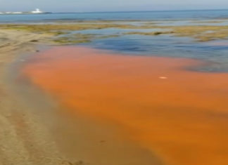 San Cataldo, chiazza arancione vivo e oleosa a riva. Lo Sportello dei Diritti: “Si accertino natura e cause”