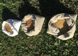 Agricoltura bio, la sfida della rete di qualità: nel Salento gli ideatori del modello Marche