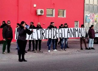 “No al circo con gli animali”: cittadini in protesta in concomitanza con il primo spettacolo Orfei