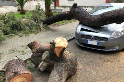 Pioggia e vento sferzano il Salento: a Lecce e Tricase gli alberi centrano alcune auto - Corriere Salentino