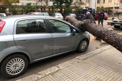 Pioggia e vento sferzano il Salento: a Lecce e Tricase gli alberi centrano alcune auto - Corriere Salentino