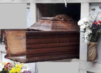 Copertino, Nobile: “ I cadaveri estumulati e non decomposti sono parcheggiati in uno stanzino”