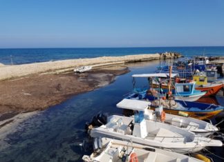 Guido: “Darsena di Frigole ai limiti dell’agibilità, occorre intervenire immediatamente”
