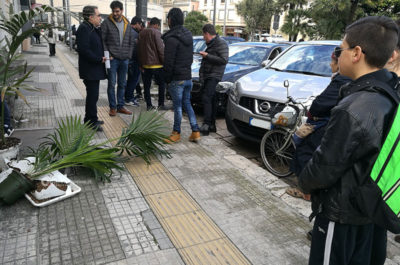 Manovra sbagliata e l'auto finisce contro la vetrata della gelateria: paura nel centro di Lecce - Corriere Salentino
