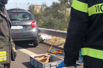 Tragedia sulle strade: drammatico incidente sulla Lecce - Gallipoli, muore segretario comunale - Corriere Salentino
