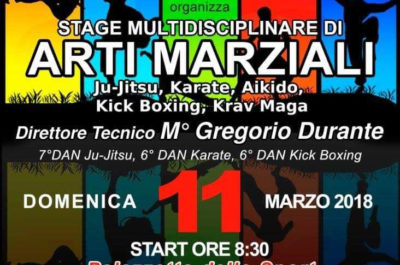 A Nardò lo stage multidisciplinare di arti marziali e sport da combattimento dell'Asd Bushido Durante - Corriere Salentino