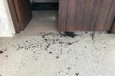 "No Tap", raid vandalico contro la sede di Confindustria Lecce. Indaga la Digos - Corriere Salentino