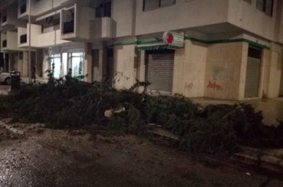 Pioggia e vento si abbattono sul Salento: alberi caduti, divelti cartelloni pubblicitari - Corriere Salentino