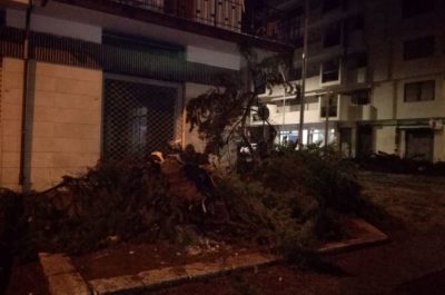 Pioggia e vento si abbattono sul Salento: alberi caduti, divelti cartelloni pubblicitari - Corriere Salentino