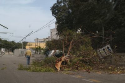Raffiche di scirocco, danni e disagi: il vento sradica alberi e pali della luce - Corriere Salentino