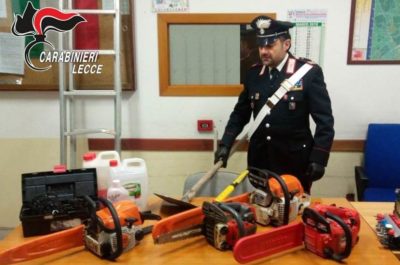 Ladri di legna fanno strage di ulivi secolari, in otto nei guai - Corriere Salentino