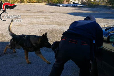 Cocaina e marijuana nell'area di servizio: giovane gestore arrestato per spaccio - Corriere Salentino