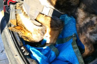 Cocaina e marijuana nell'area di servizio: giovane gestore arrestato per spaccio - Corriere Salentino