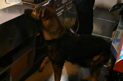 Cocaina e marijuana nell'area di servizio: giovane gestore arrestato per spaccio - Corriere Salentino