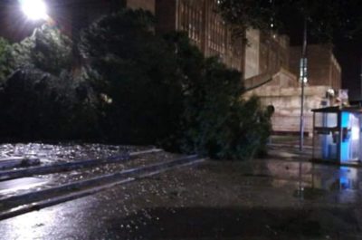 Pioggia e vento si abbattono sul Salento: alberi caduti, divelti cartelloni pubblicitari - Corriere Salentino