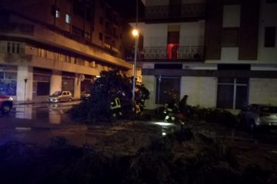 Pioggia e vento si abbattono sul Salento: alberi caduti, divelti cartelloni pubblicitari - Corriere Salentino