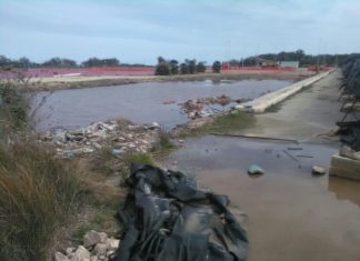 Darsene di Frigole e San Cataldo: assessorati al lavoro per trasformare i terreni in zone portuali e per farle funzionare al più presto