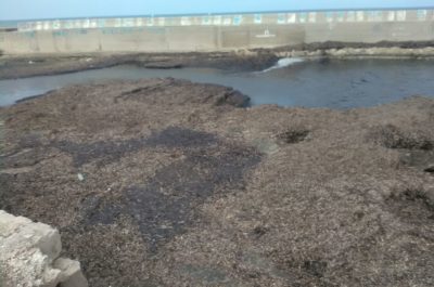 Darsena di San Cataldo, Guido: "Ritorna l'emergenza igienico sanitaria, si prospetta il rischio esondanzione" - Corriere Salentino