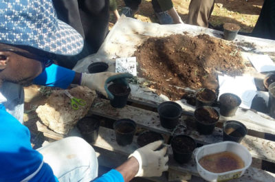 Nasce il “Belvedere dei frutti minori” - Corriere Salentino