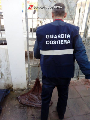 Pesca illegale e controlli, sequestrati 1300 ricci e 12 kg di calamari - Corriere Salentino