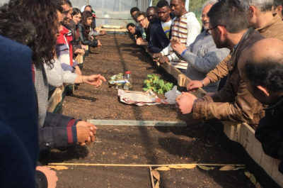 Nasce il “Belvedere dei frutti minori” - Corriere Salentino