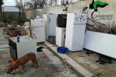 Colto sul fatto mentre incendia un cumulo di rifiuti, denunciato un 39enne - Corriere Salentino