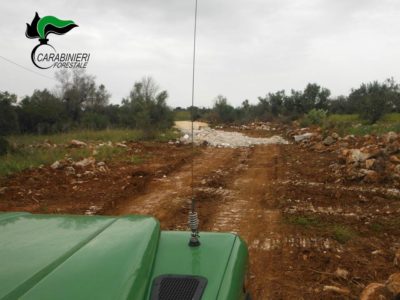 Strada "fai da te" per accedere al terreno di proprietà, denunciato - Corriere Salentino