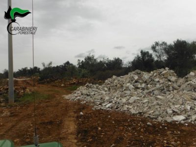 Strada "fai da te" per accedere al terreno di proprietà, denunciato - Corriere Salentino