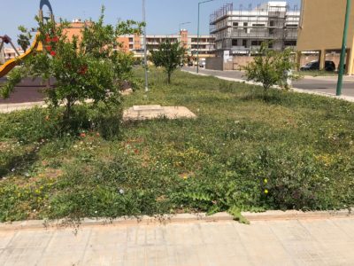 Nobile: la retorica dei nomi, l'inconsistenza dei fatti - Corriere Salentino