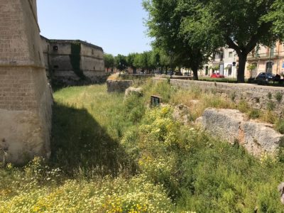 Nobile: la retorica dei nomi, l'inconsistenza dei fatti - Corriere Salentino