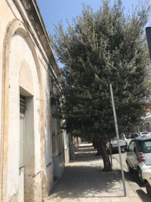 Nobile: la retorica dei nomi, l'inconsistenza dei fatti - Corriere Salentino