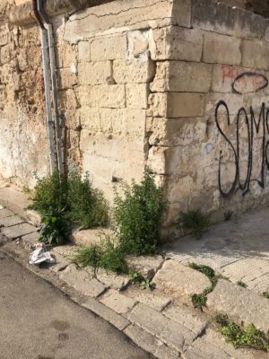 Nobile: la retorica dei nomi, l'inconsistenza dei fatti - Corriere Salentino